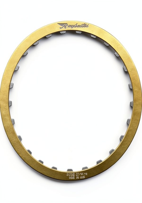 Raybestos Powertrain Clutch Plates for Domestic Import Heavy-2