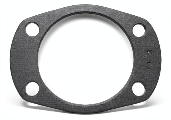 Fel-Pro 4828 Drive Axle Flange Gasket for Ford Maverick Round-0