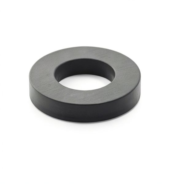 Ferrite Donut Magnets 6 Pack OD50xID25x8mm FINEZAHS Ring Magnets-1