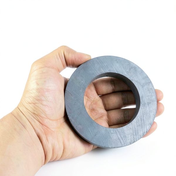 Large Ceramic Ring Magnet,Industrial Grade 8 Ferrite Ring Magnets with Hole for Science Experiment-OD100mmxID60mmx15mm-1